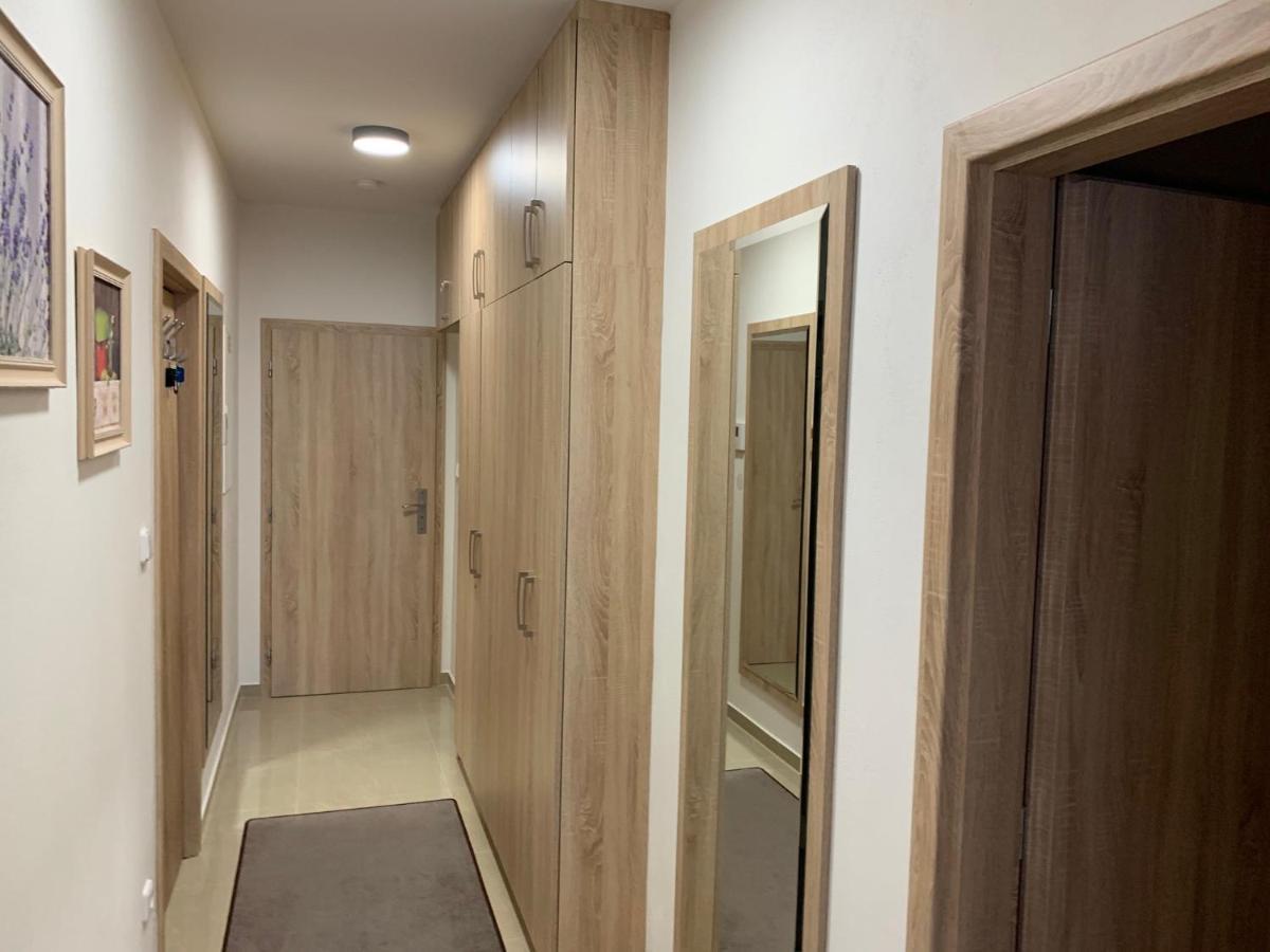 Apartment Rezidence - Javor & Wellness Železná Ruda Kültér fotó