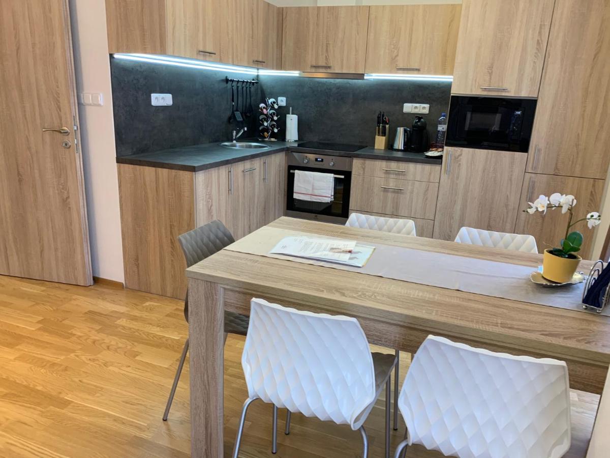 Apartment Rezidence - Javor & Wellness Železná Ruda Kültér fotó