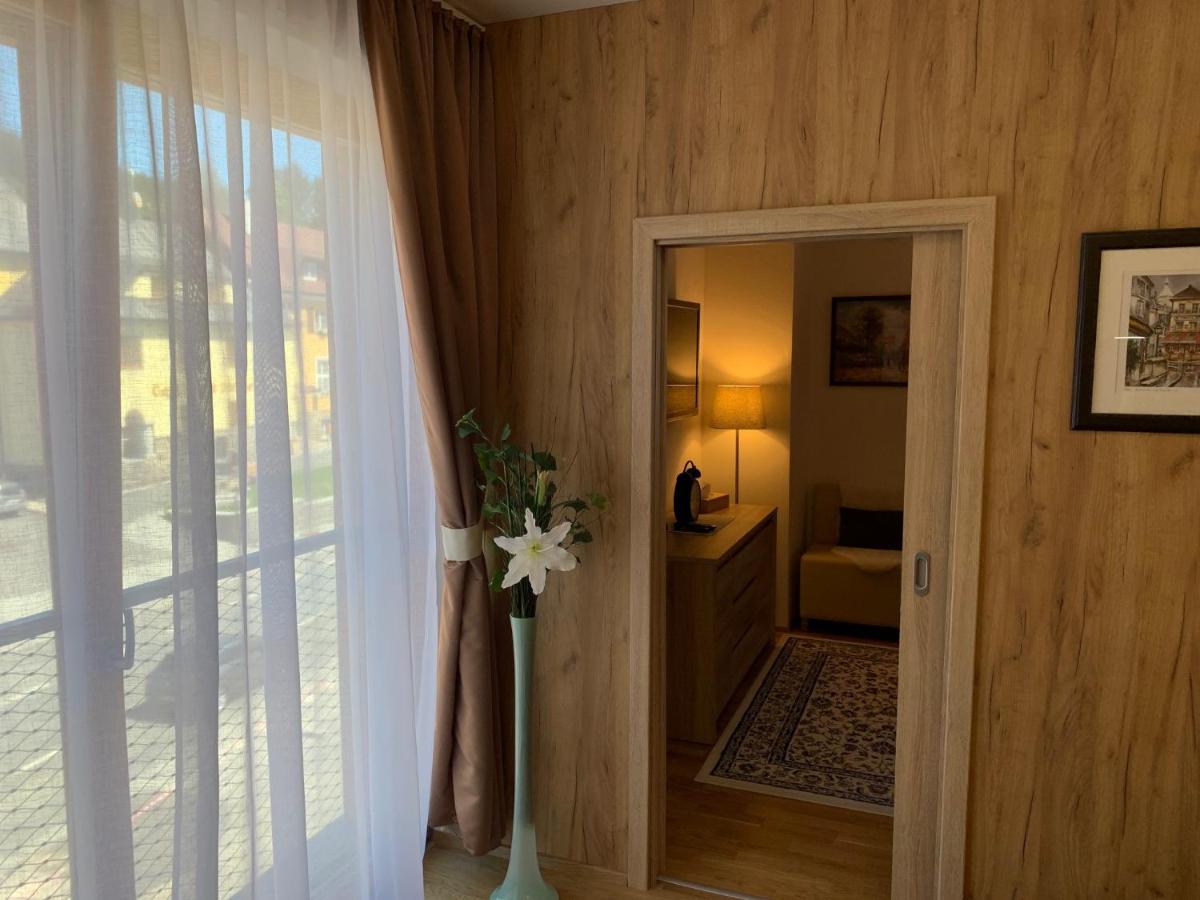 Apartment Rezidence - Javor & Wellness Železná Ruda Kültér fotó