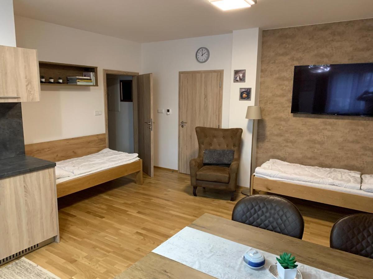Apartment Rezidence - Javor & Wellness Železná Ruda Kültér fotó