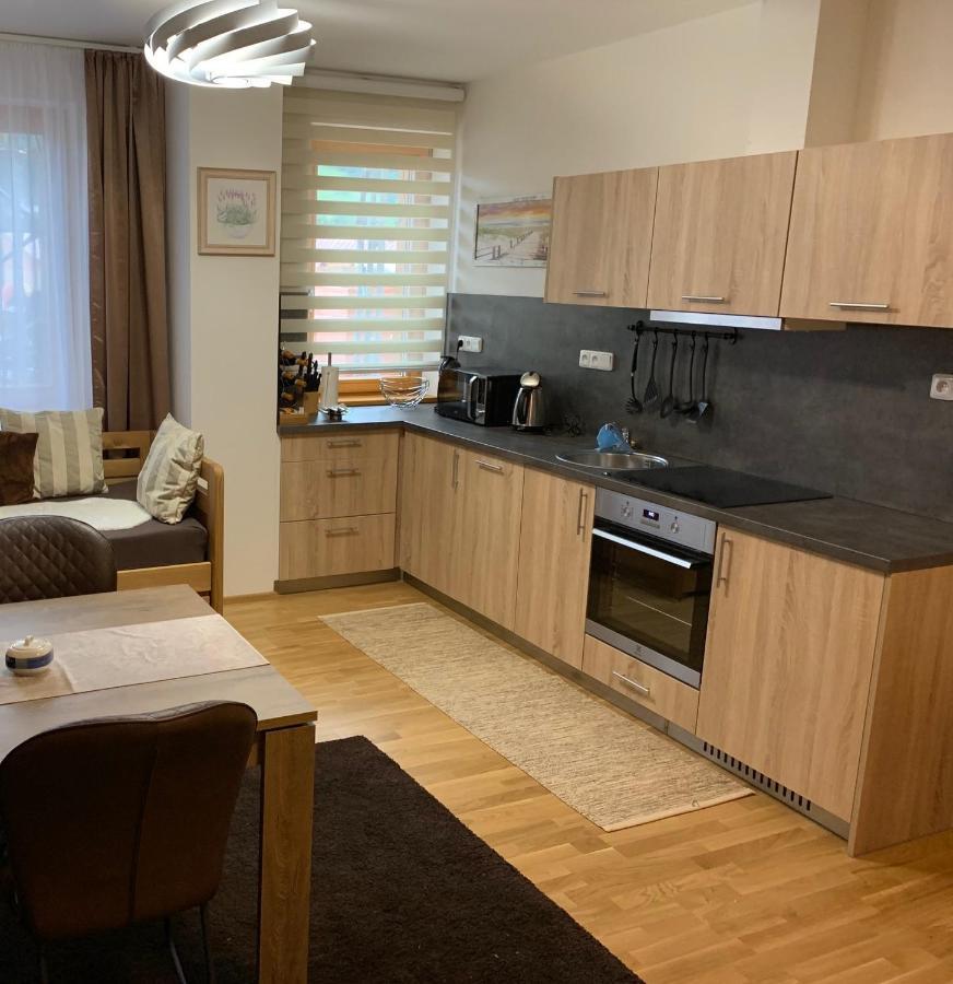 Apartment Rezidence - Javor & Wellness Železná Ruda Kültér fotó