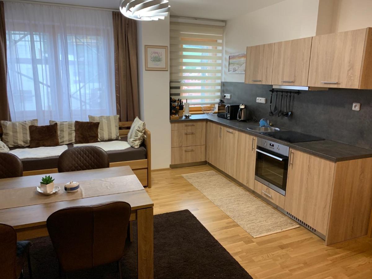 Apartment Rezidence - Javor & Wellness Železná Ruda Kültér fotó