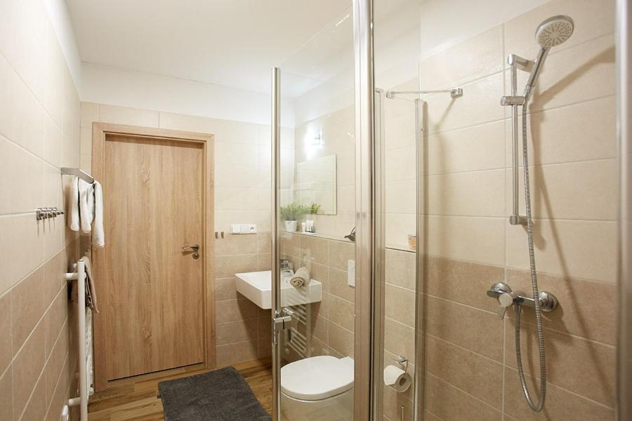 Apartment Rezidence - Javor & Wellness Železná Ruda Kültér fotó